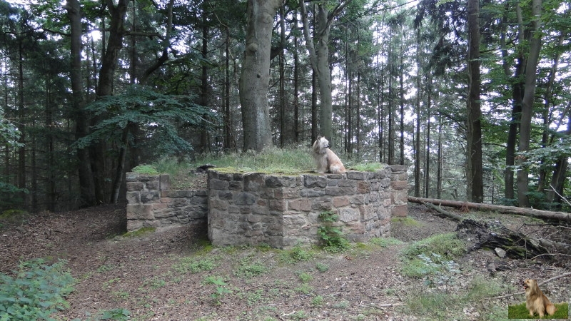 Ritterstein Nr. 271-10 Ruine Wachturm Murrmirnichtviel.JPG - Ritterstein Nr.271 Ruine Wachturm Murrmirnichtviel